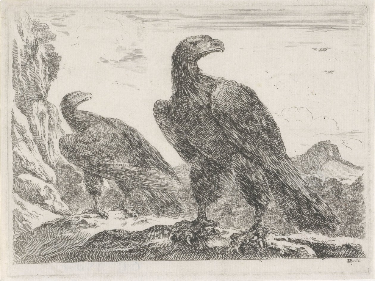 To ørne med hoveder til højre Eagles (serietitel) af Stefano della Bella