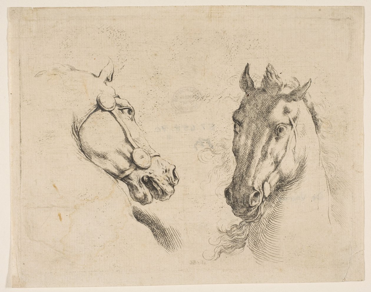 To hestehoveder, ca. 1649. af Stefano della Bella