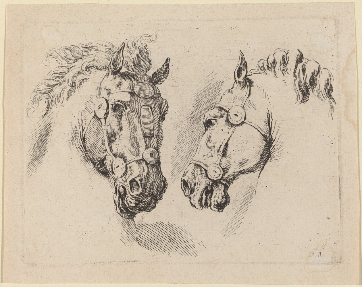 To Hestehoveder, formentlig 1649. af Stefano della Bella