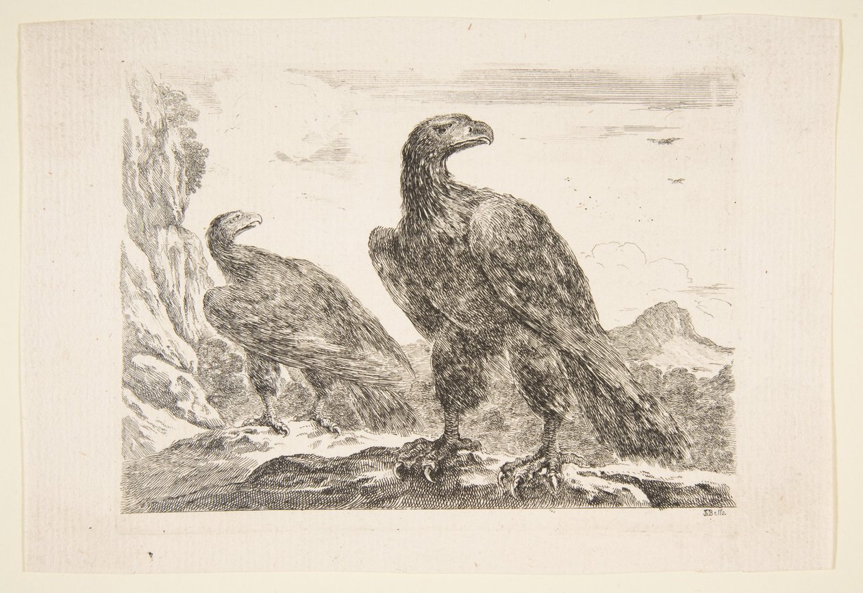 To ørne, fra 