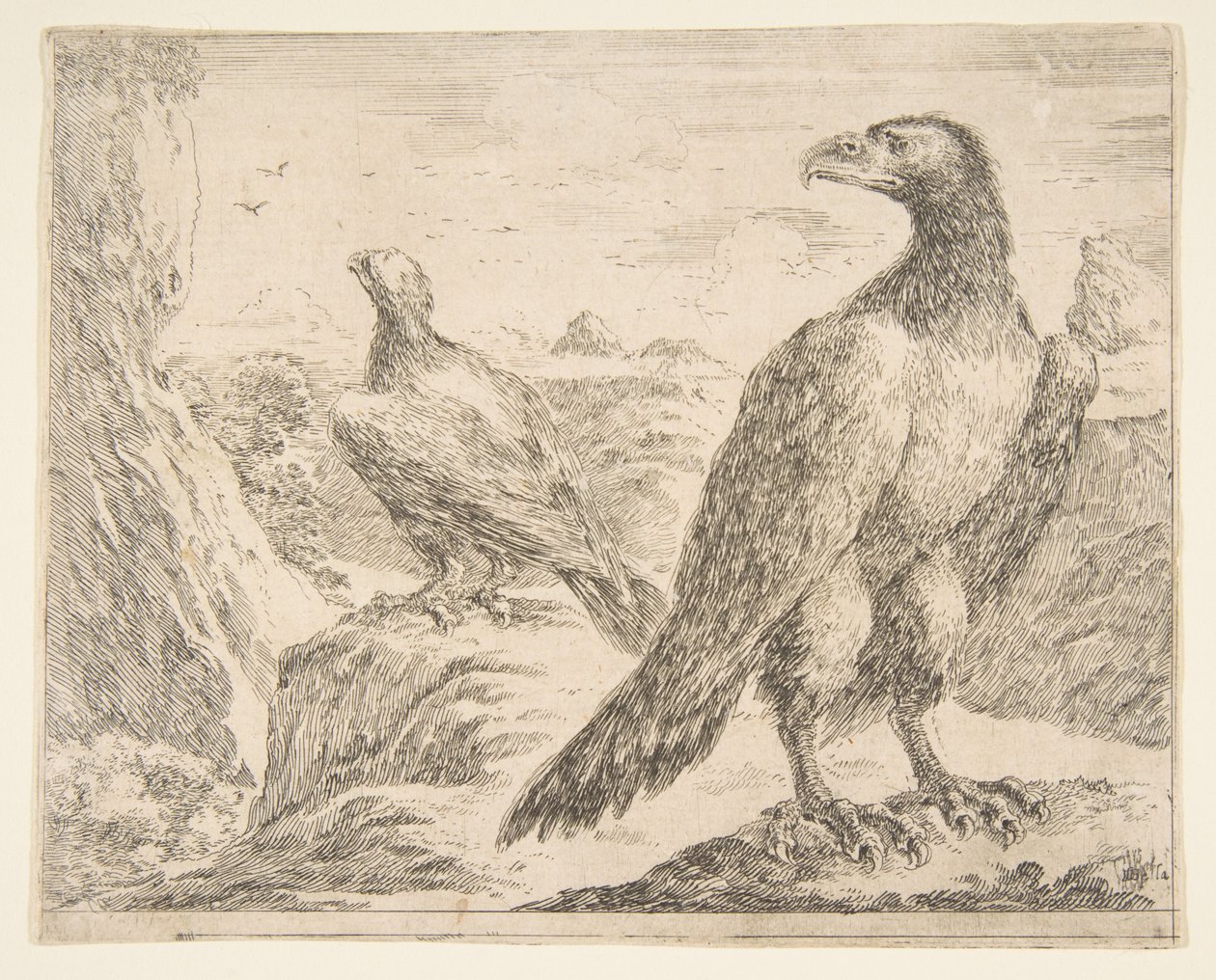 To ørne, fra Eagles Les aigles, ca. 1651. af Stefano della Bella