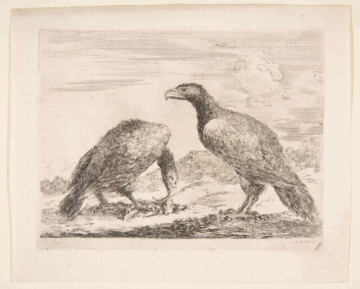 To ørne, den ene æder et lam, fra Eagles Les aigles, ca. 1651. af Stefano della Bella