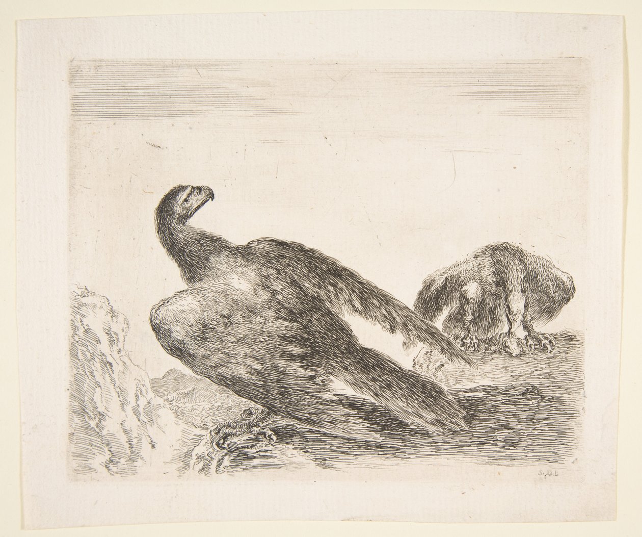 To ørne, en med bytte, fra Eagles Les aigles, ca. 1651. af Stefano della Bella
