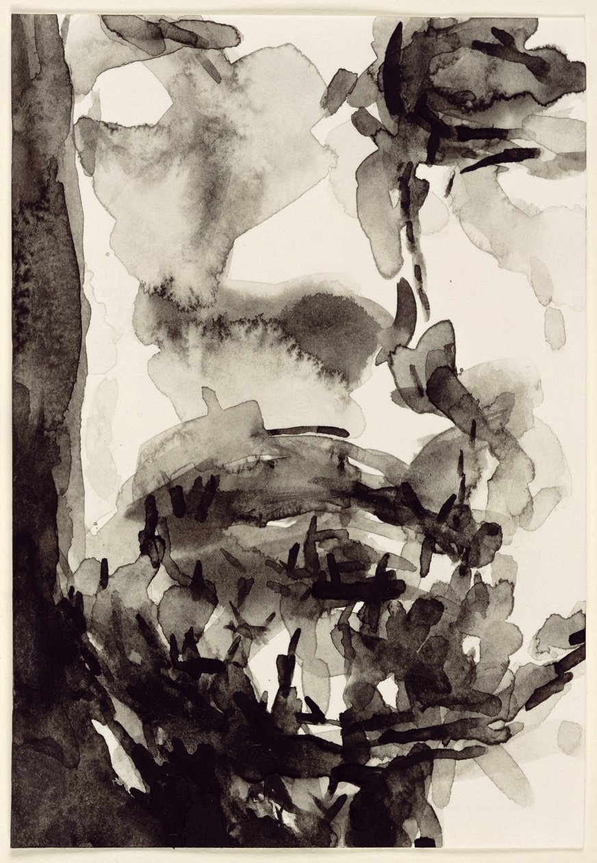 Face, 2001 (wc på papir) af Stephen Finer