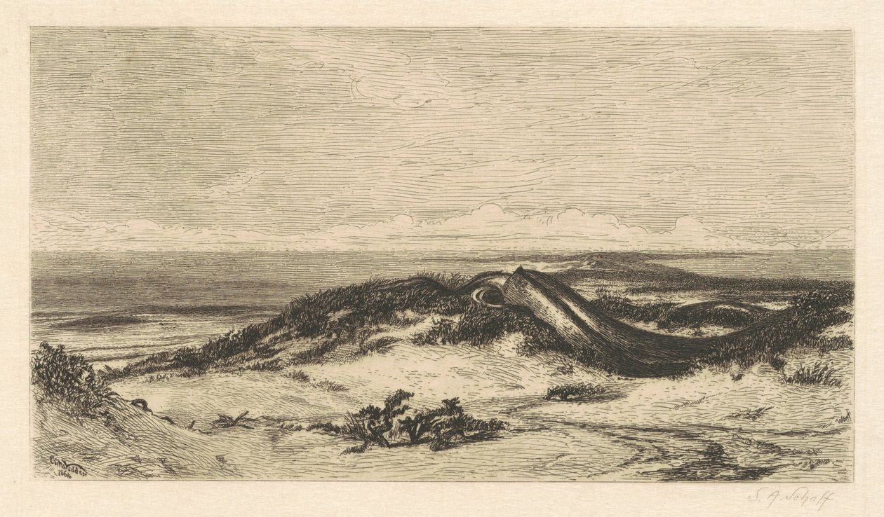 Søormen af Stephen Alonzo Schoff, after Elihu Vedder
