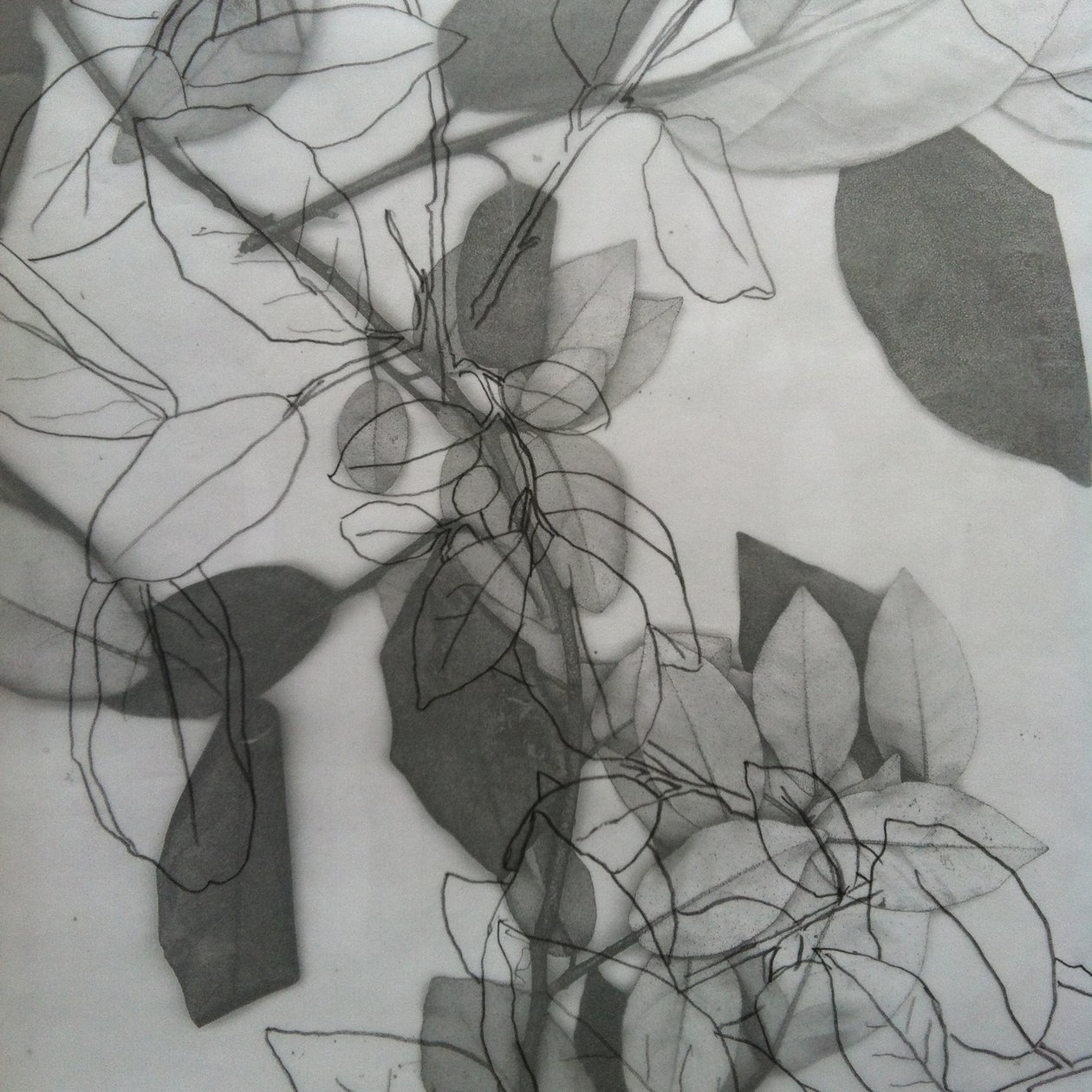 Botanisk, 2014 (digital) af Stephen Dow