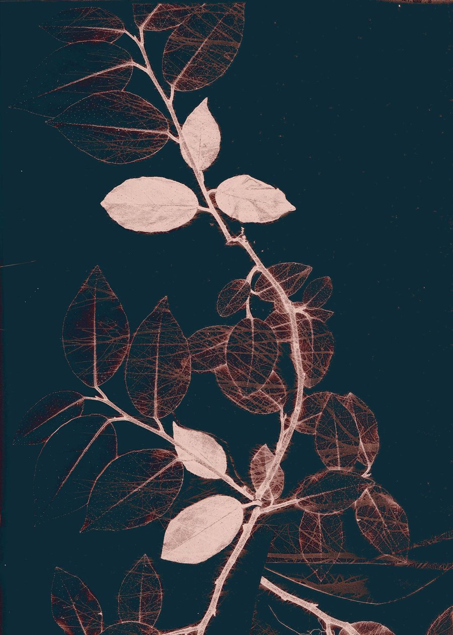 Freyr VII Dark Copper, 2018 (digital) af Stephen Dow
