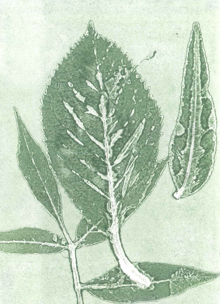Gone IX, 2015 (monoprint på papir) af Stephen Dow