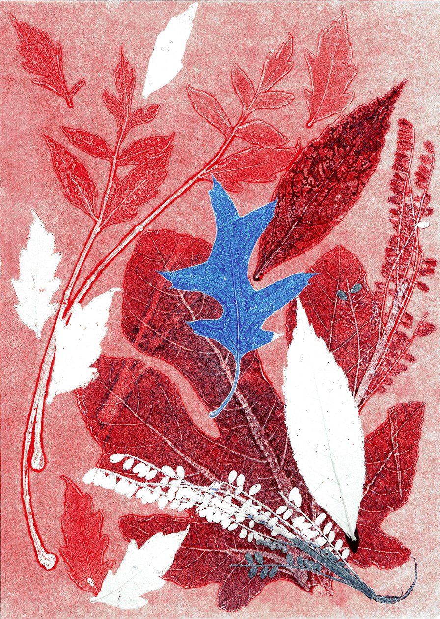 Jol III, 2017 (monoprint på papir) af Stephen Dow
