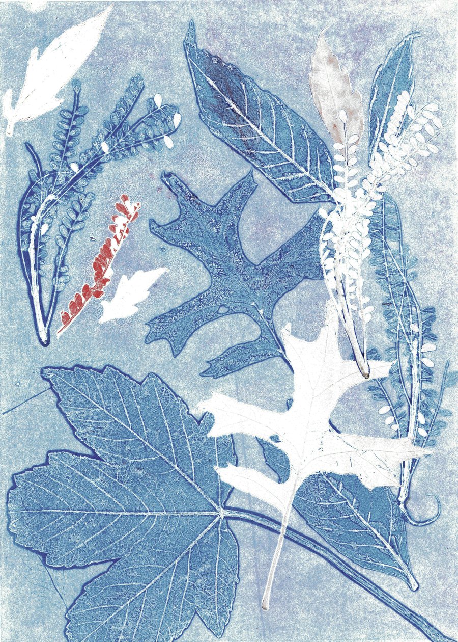 Jol II, 2017 (monoprint på papir) af Stephen Dow
