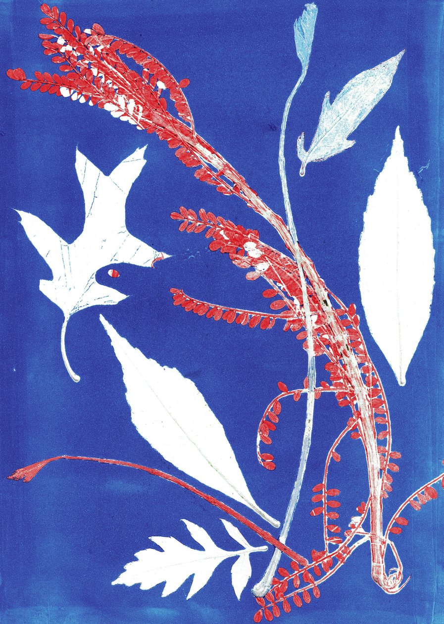 Jol I, 2017 (monoprint på papir) af Stephen Dow