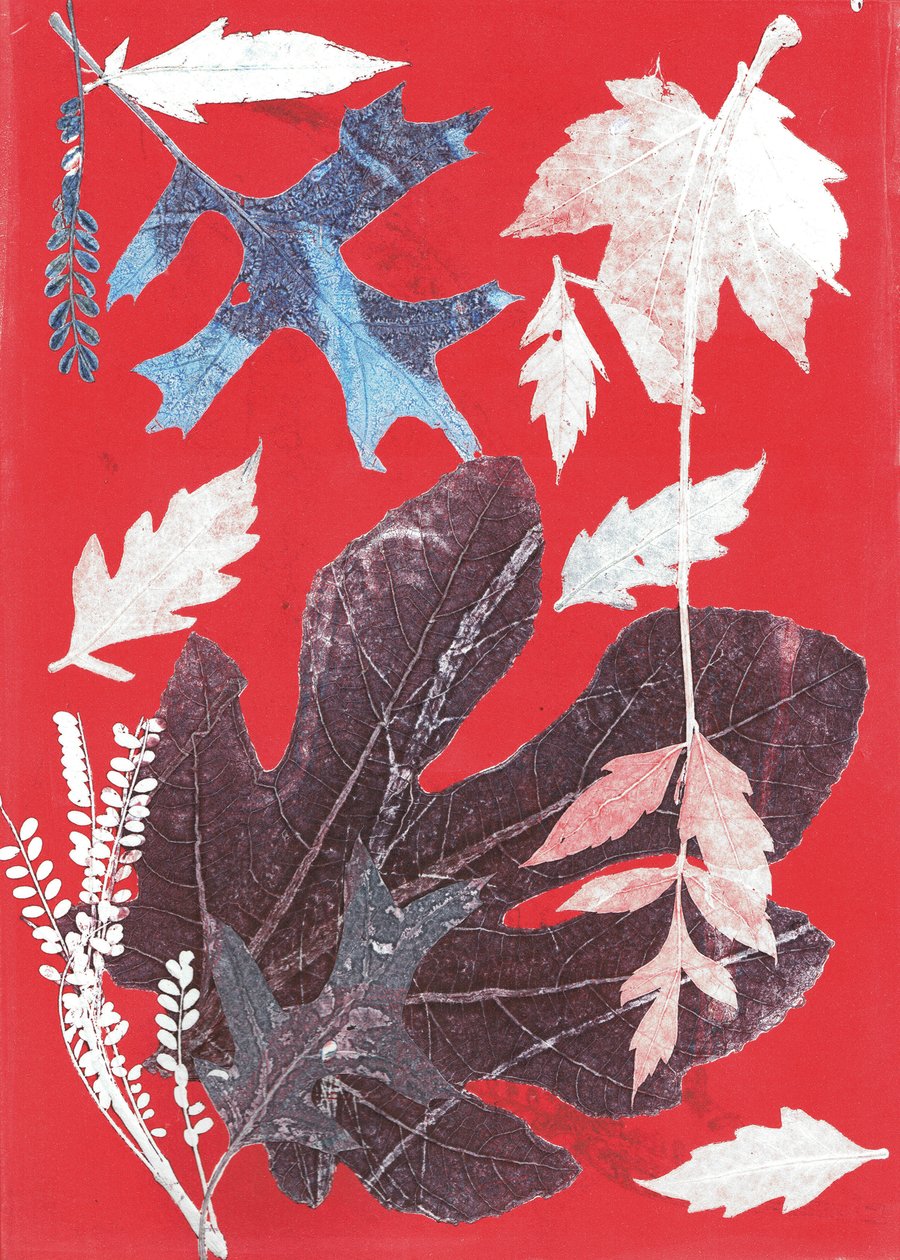 Jol XII, 2017 (monoprint på papir) af Stephen Dow