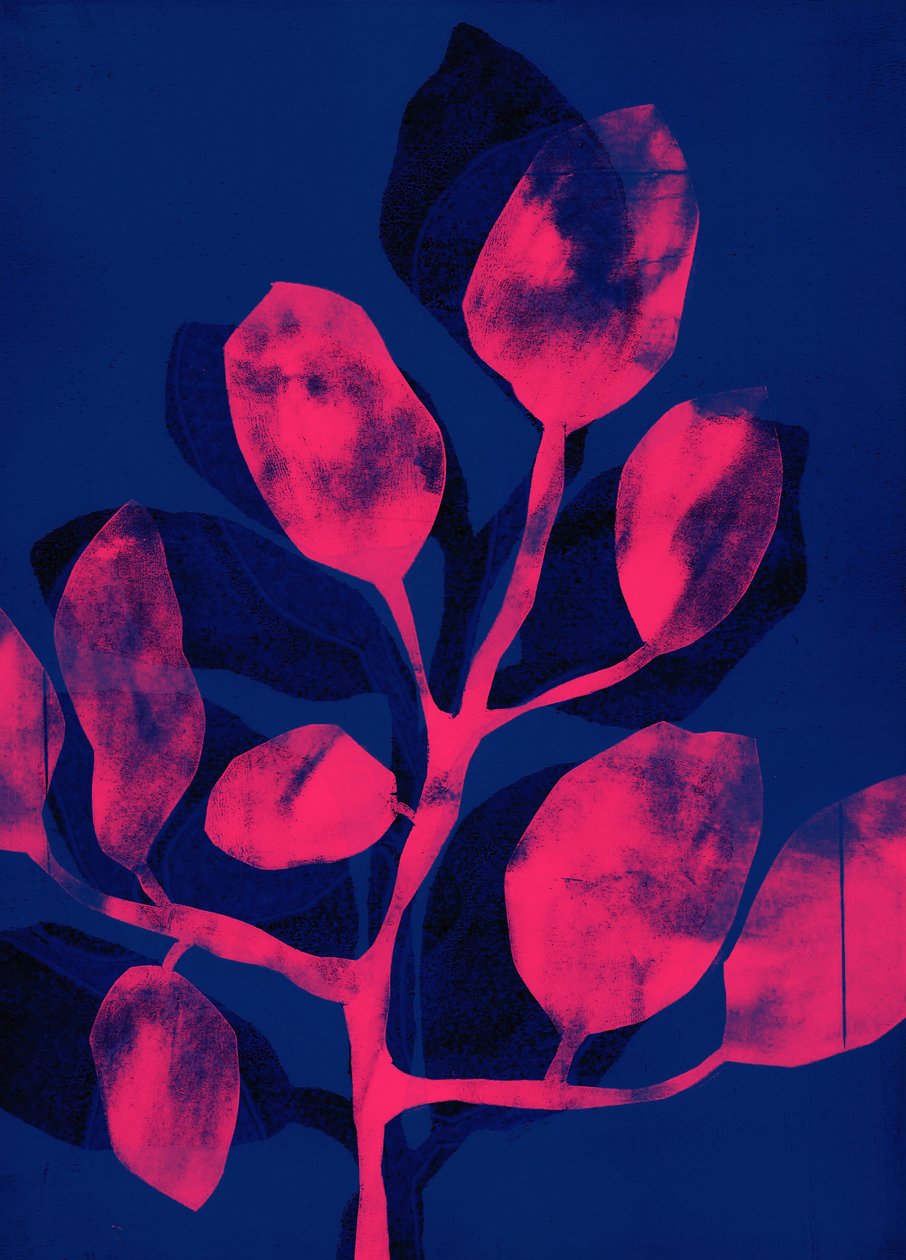 Summer Garden III pink, 2018 (digital) af Stephen Dow