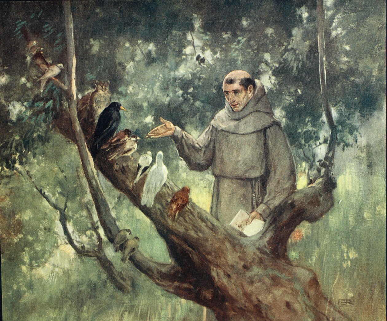 Saint Francis prædiker for fuglene, illustration fra 