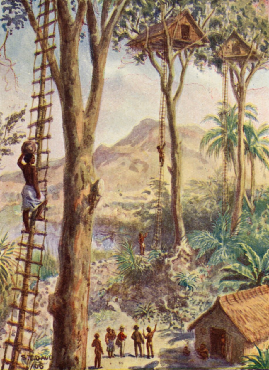 Illustration af biskop Pattesons liv (farvelitografi) af Stephen T. Dadd