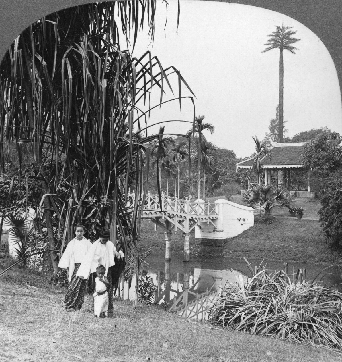 Et kig ind i de tropiske haver i Rangoon, Burma, 1908 af Stereo Travel Co