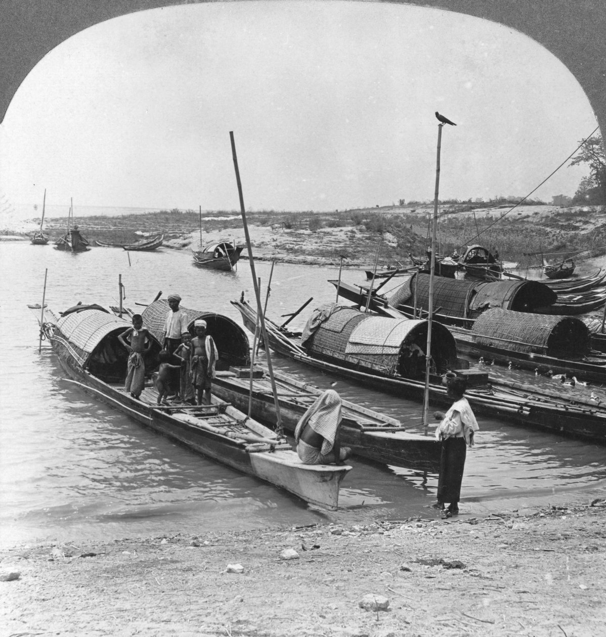 Både på Irrawaddy-floden, Mingun, Burma, 1908 af Stereo Travel Co