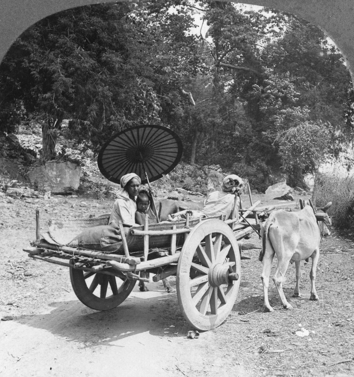 Familie på rejse gennem junglen nær Mingun, Burma, 1908 af Stereo Travel Co