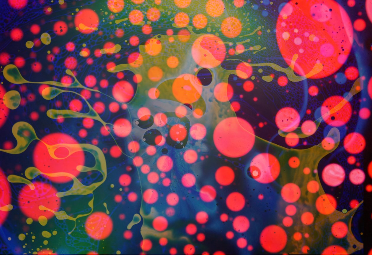 Splattermonster, 2024 af Steve Pavlovsky
