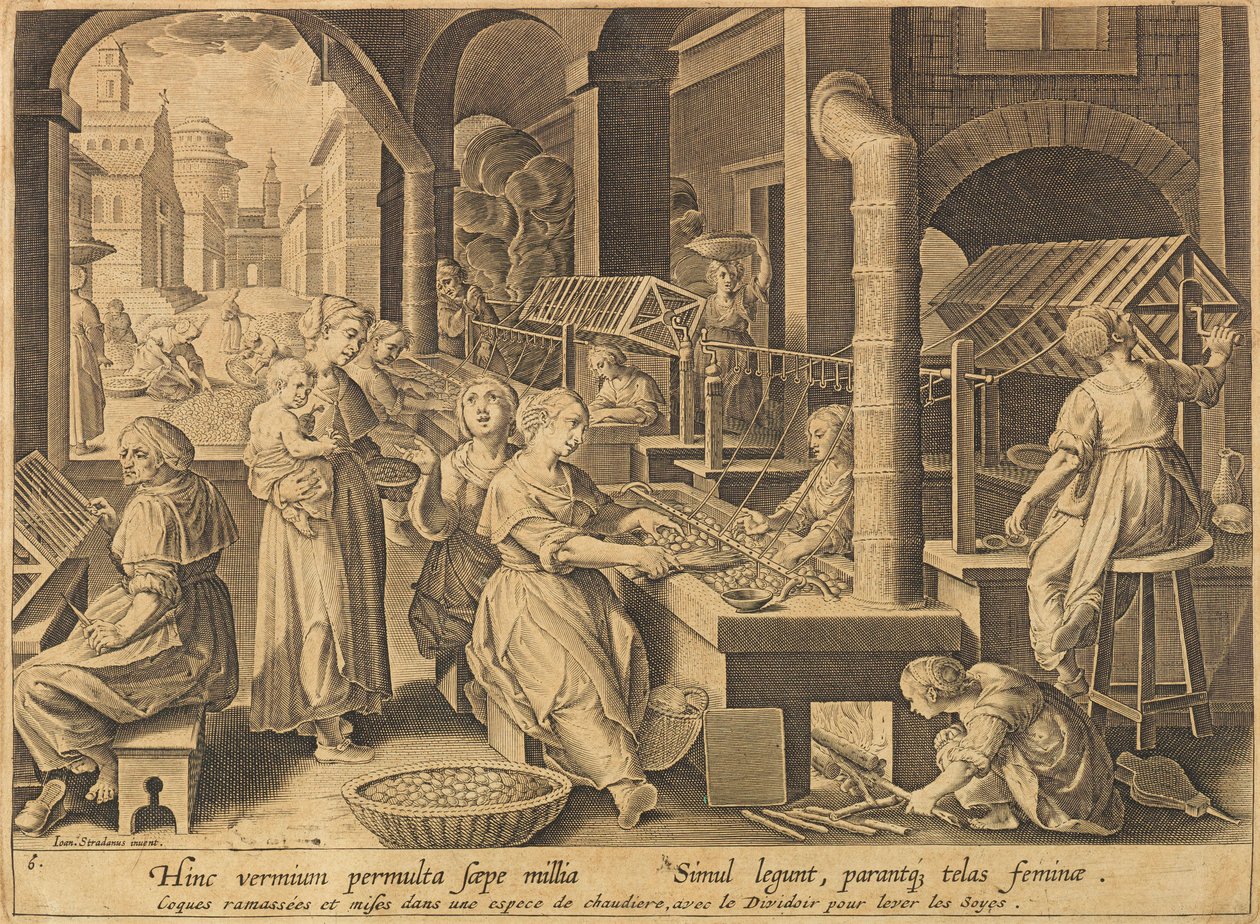 Silkeekstraktion Vermis sericus, efter 1640. af Stradanus