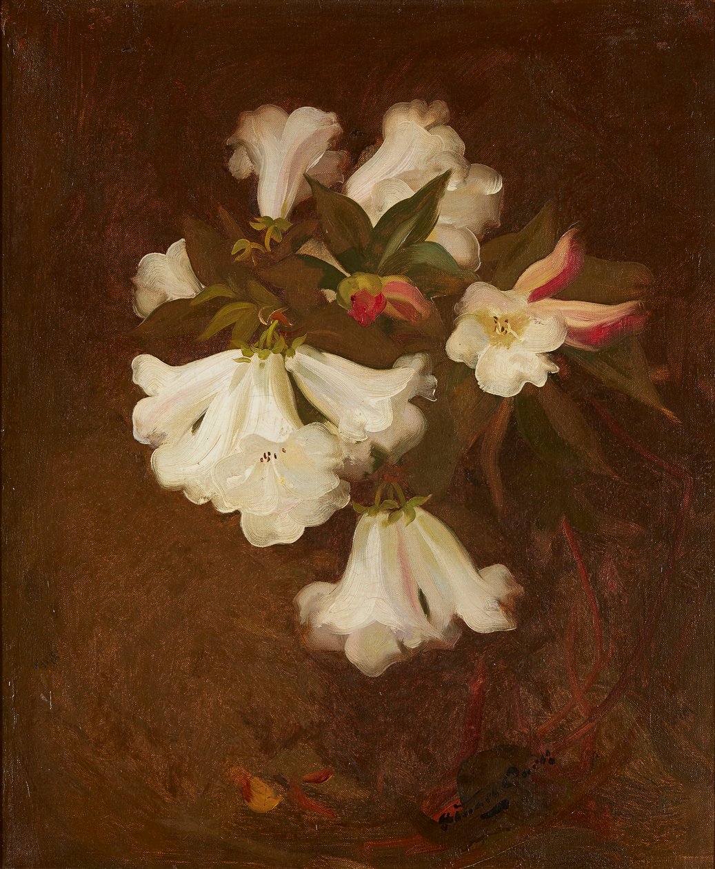 A Still Life of White Lilies (olie på lærred) af Stuart Park