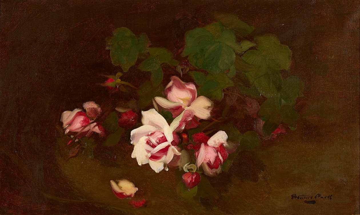 Roses in Bloom (olie på lærred) af Stuart Park