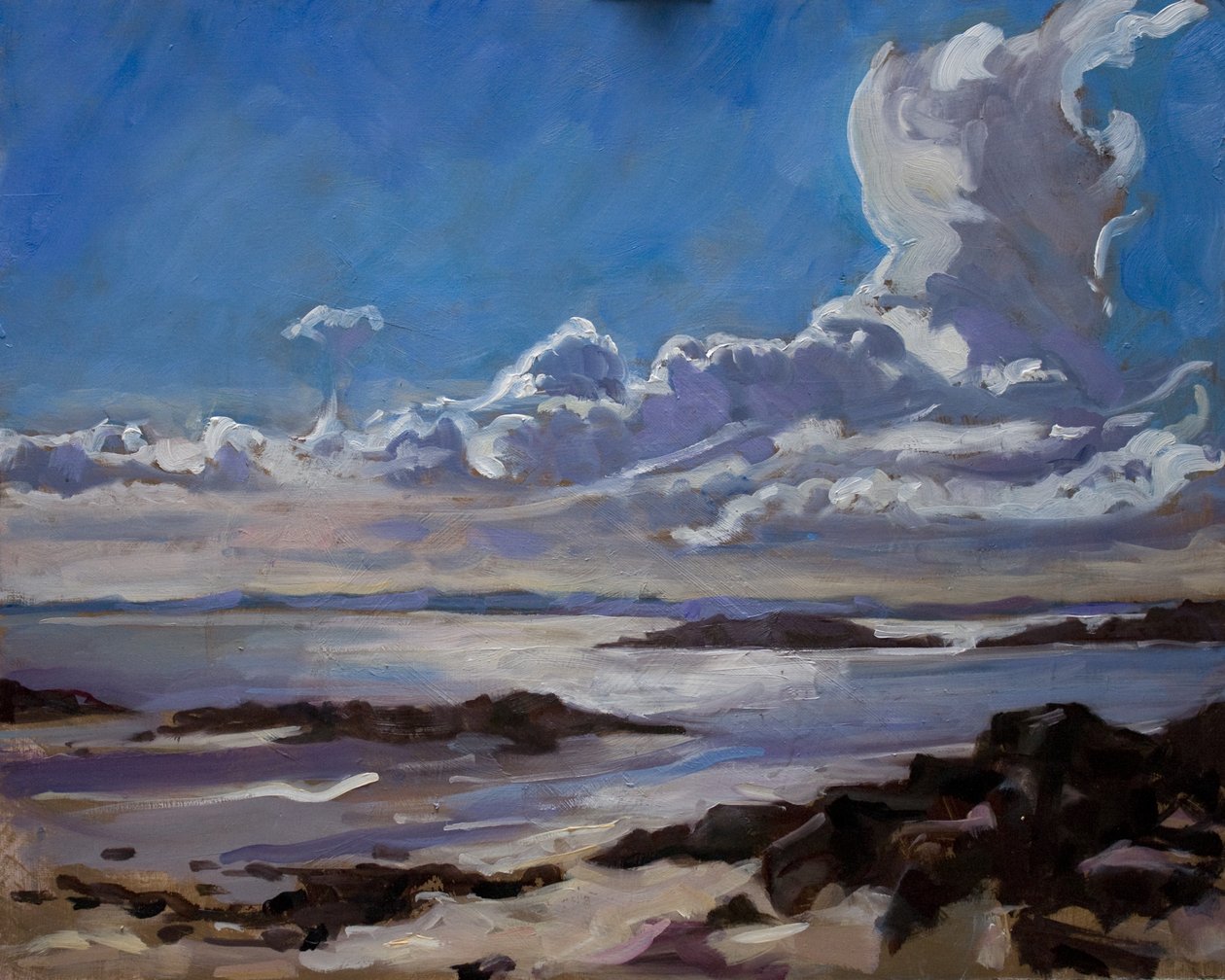 Sen eftermiddag i Galloway, 2010, af Sue Wales
