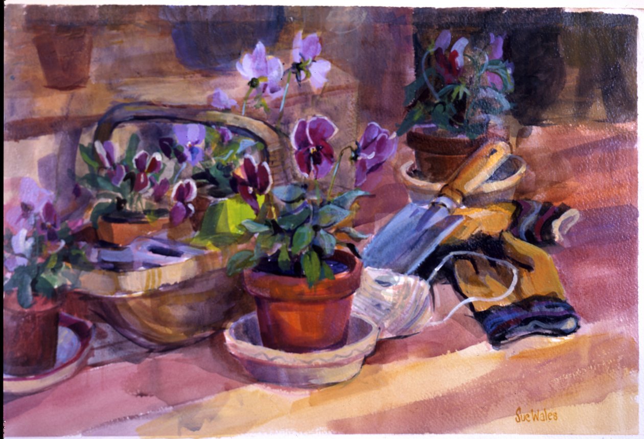 Potting up the stedmoderblomster, 1996, (gouache på kort) af Sue Wales
