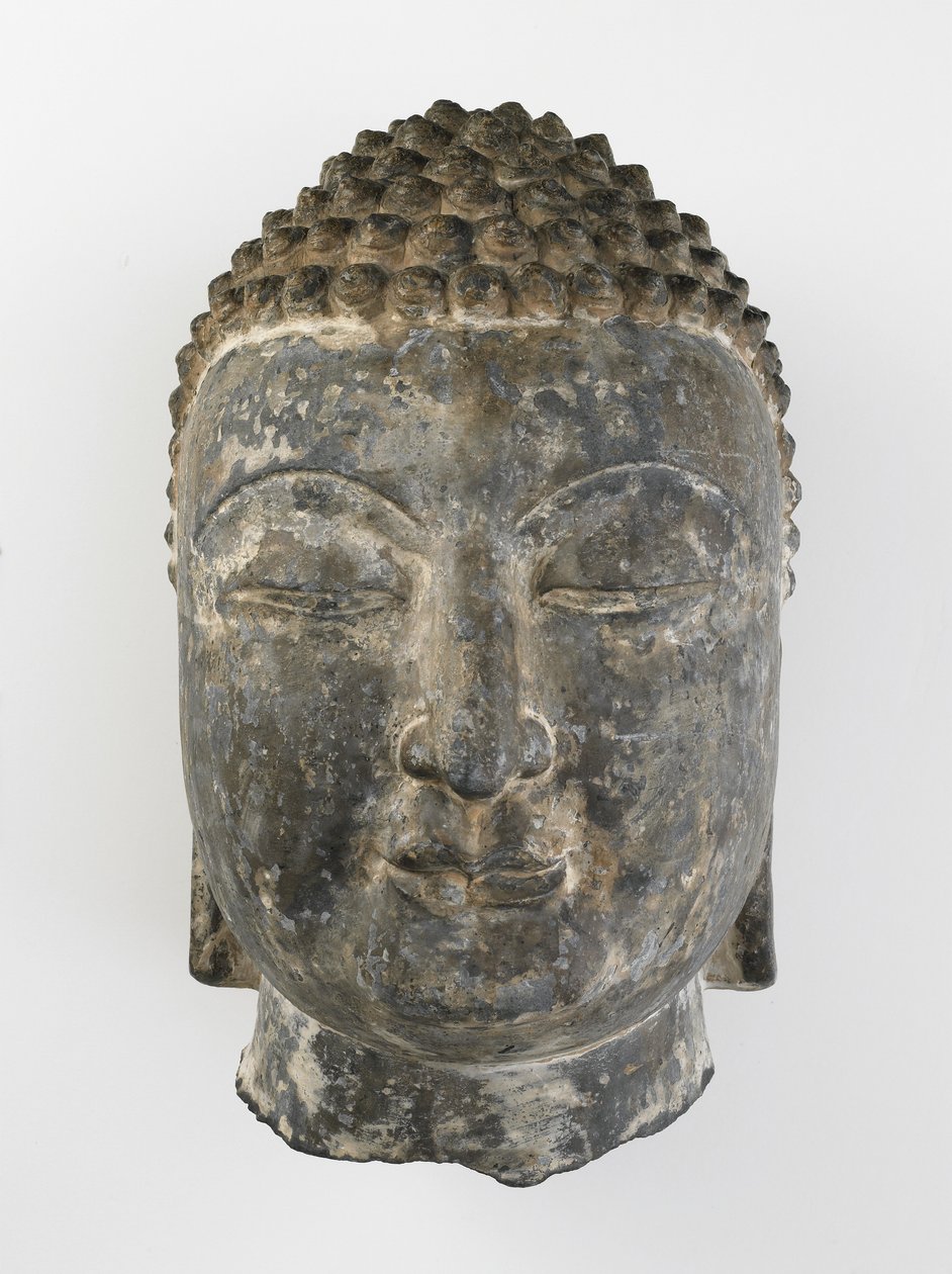 Buddhas kolossale hoved af Sui Dynasty Chinese School