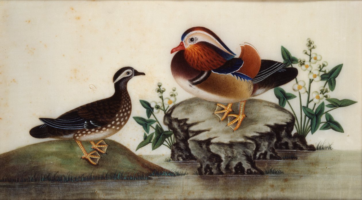 Maleri - To ænder og blomstrende vandplanter ved en dam, sent c19 af Sunqua