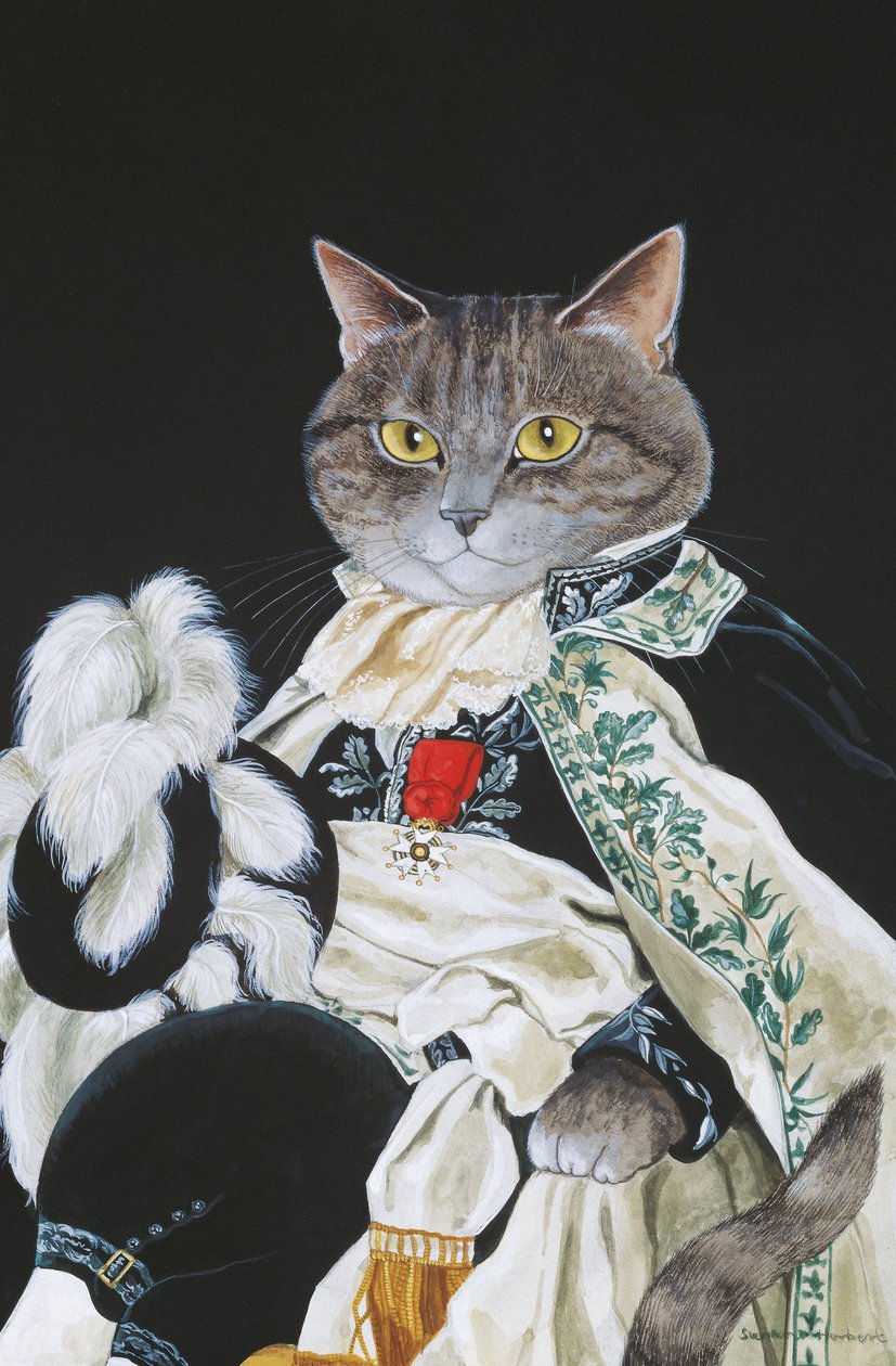 Illustration fra Cats Galore! Et kompendium over kultiverede katte (udg. 2015) af Susan Herbert