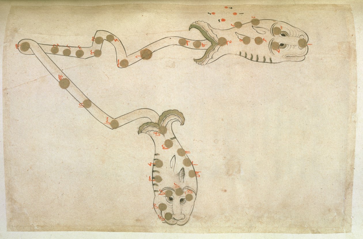 Repræsentationer af dyrekredsen: Fiskene, fiskene, 1497-1498 (903 Hijra) af Suvar Al Kavakib