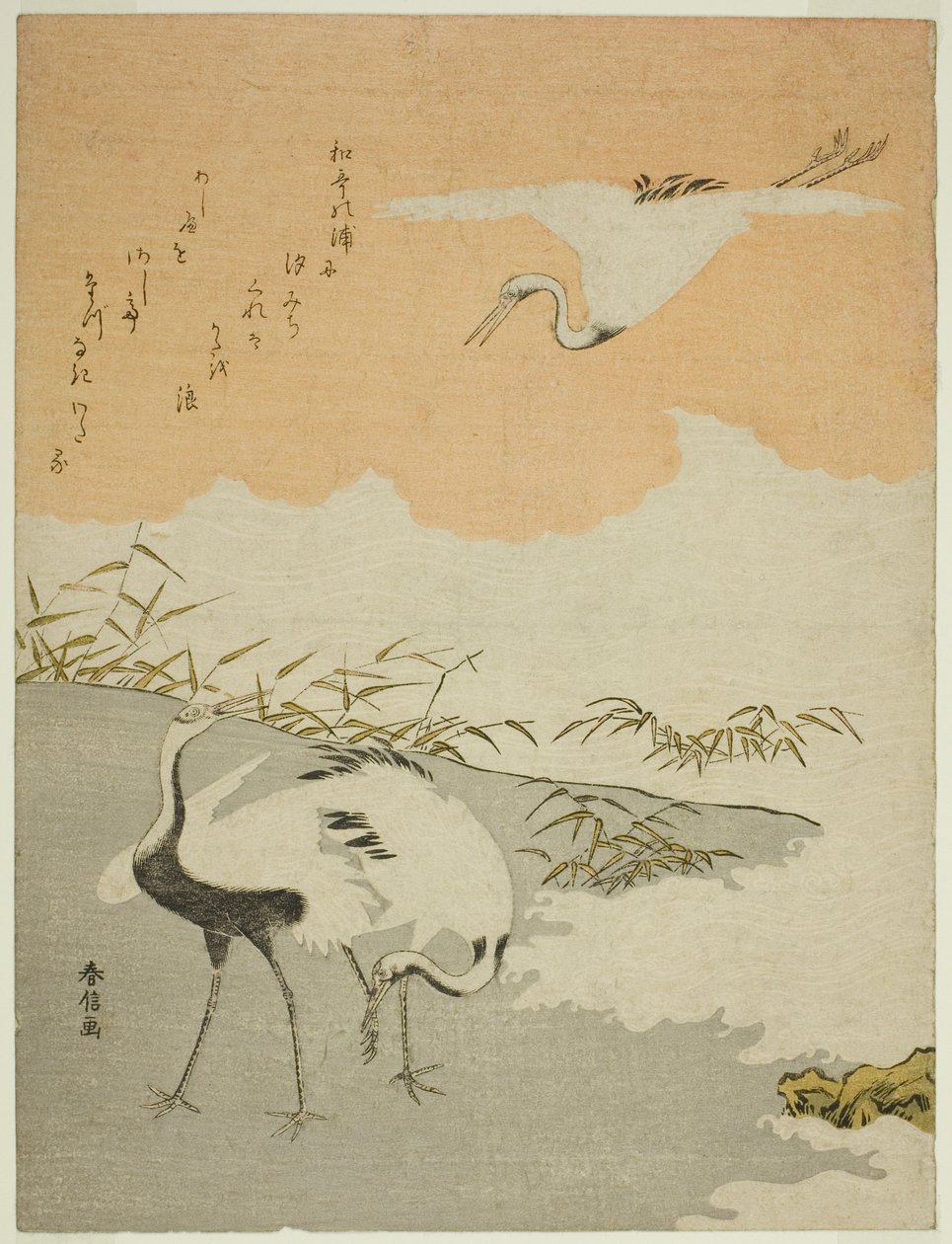 Kraner ved havet af Suzuki Harunobu