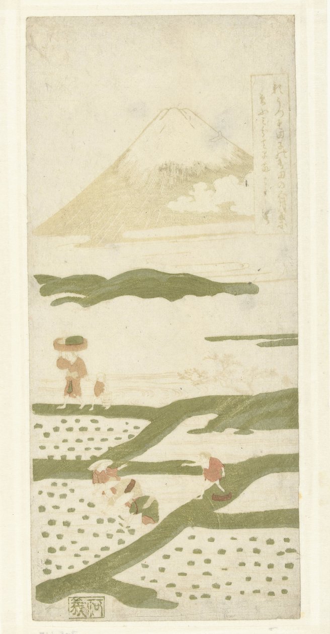 ris plantekasser af Suzuki Harunobu