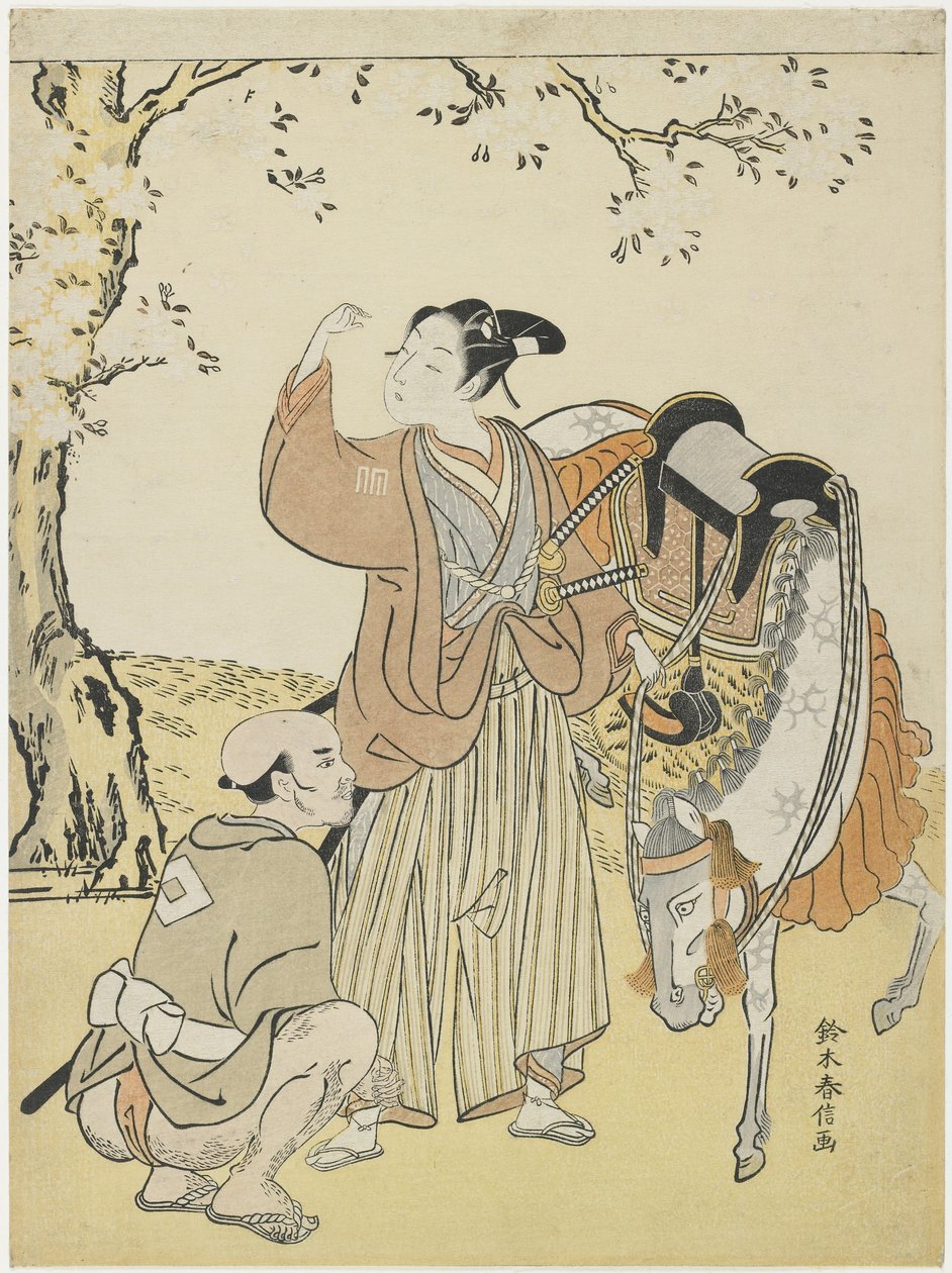 Ung samurai, der ser kirsebærblomster som en efterligning af prins Kaoru, ca. 1767 af Suzuki Harunobu