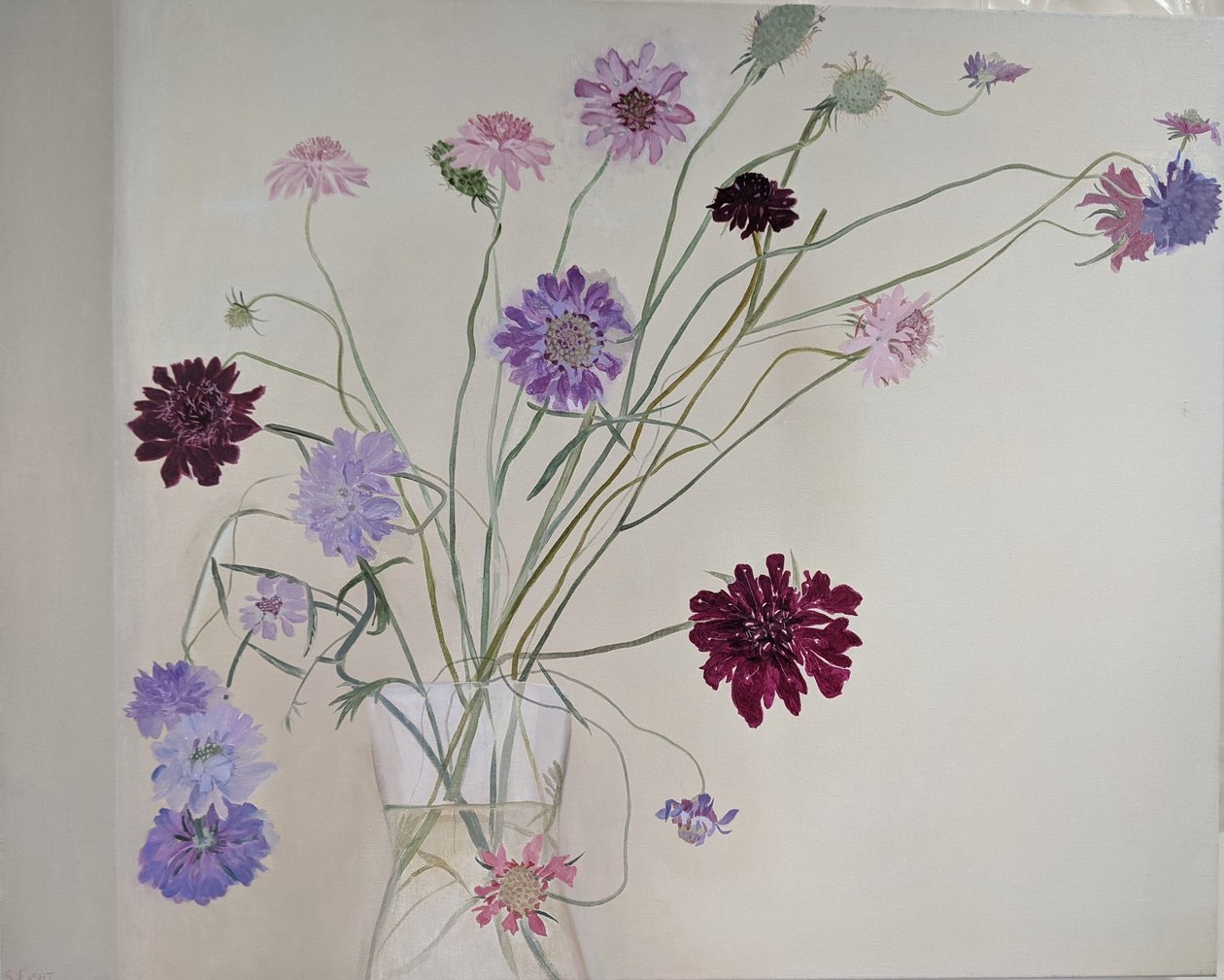 Glorious Scabious, 2021 (olie på lærred) af Suzy Fasht