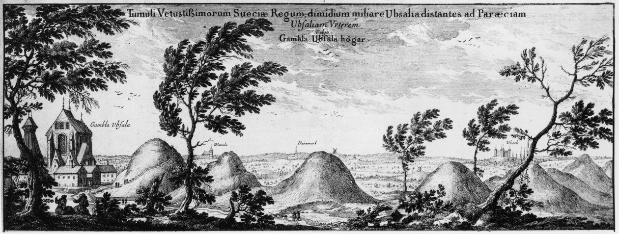 Gravhøje i Uppsala, Sverige af Swedish School