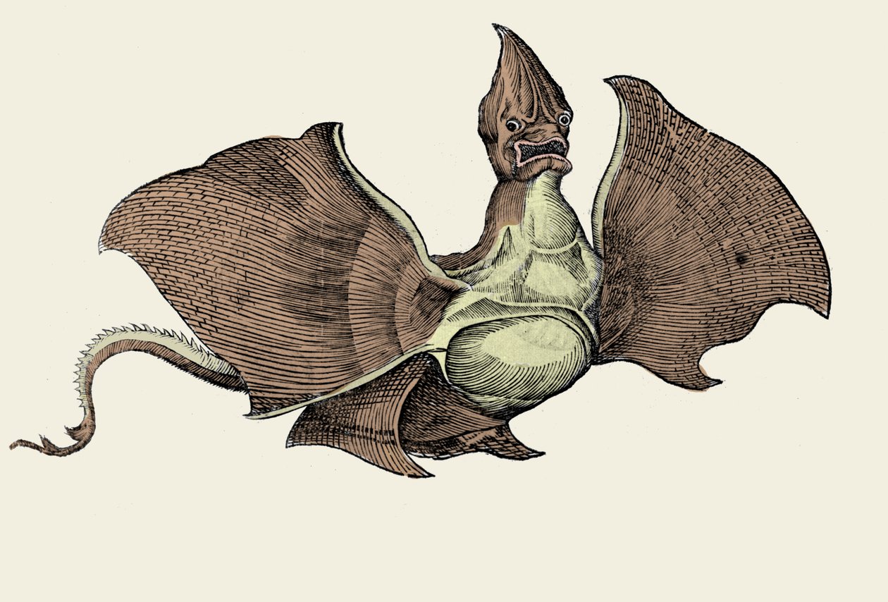 Fantastisk havmonster, illustration fra 