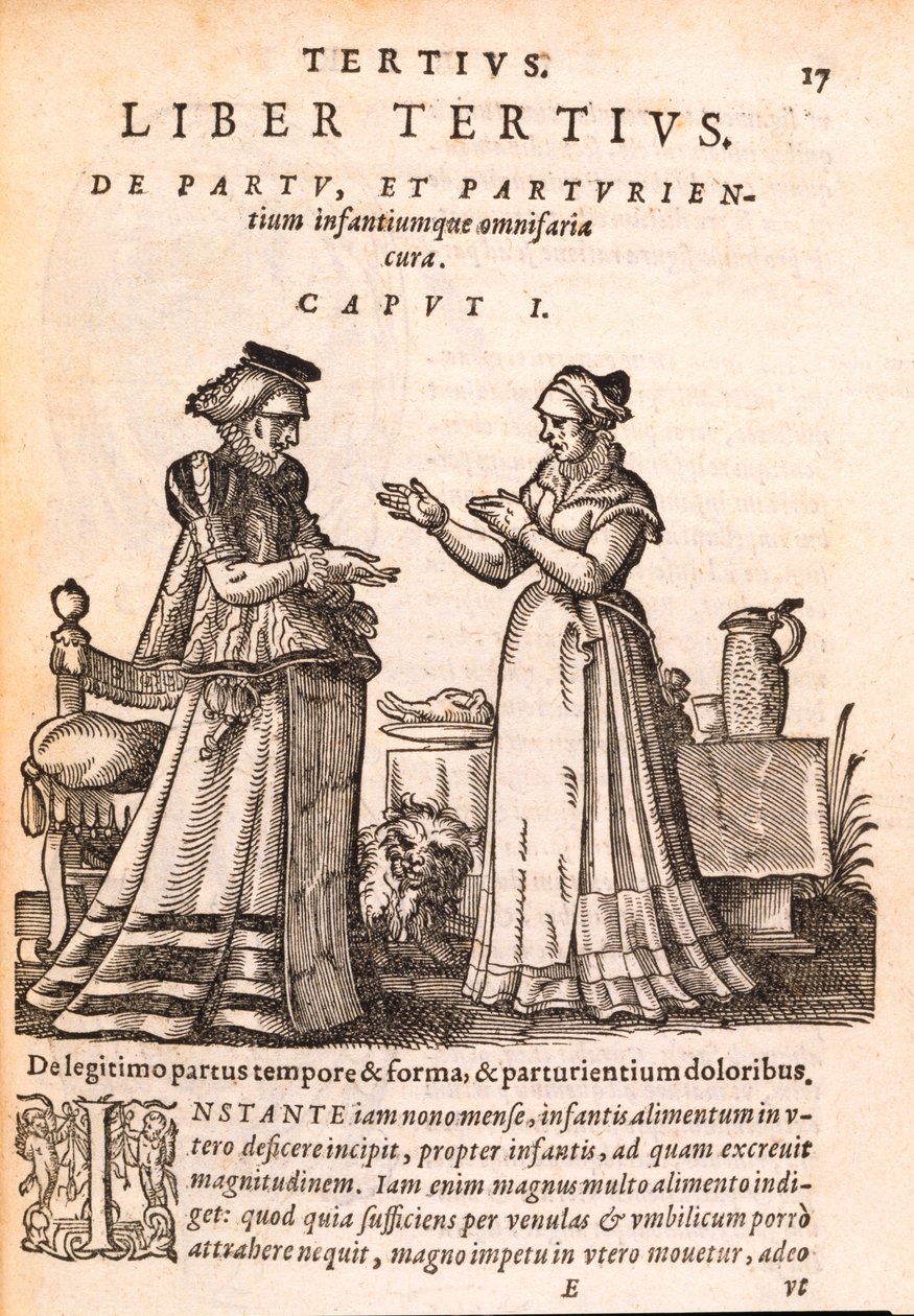Sygeplejerske plejer en patient med en såret hånd, fra De Concepta et Generatione Hominis af Jakob Ruf, 1587 (tryk & træsnit på papir) af Swiss School