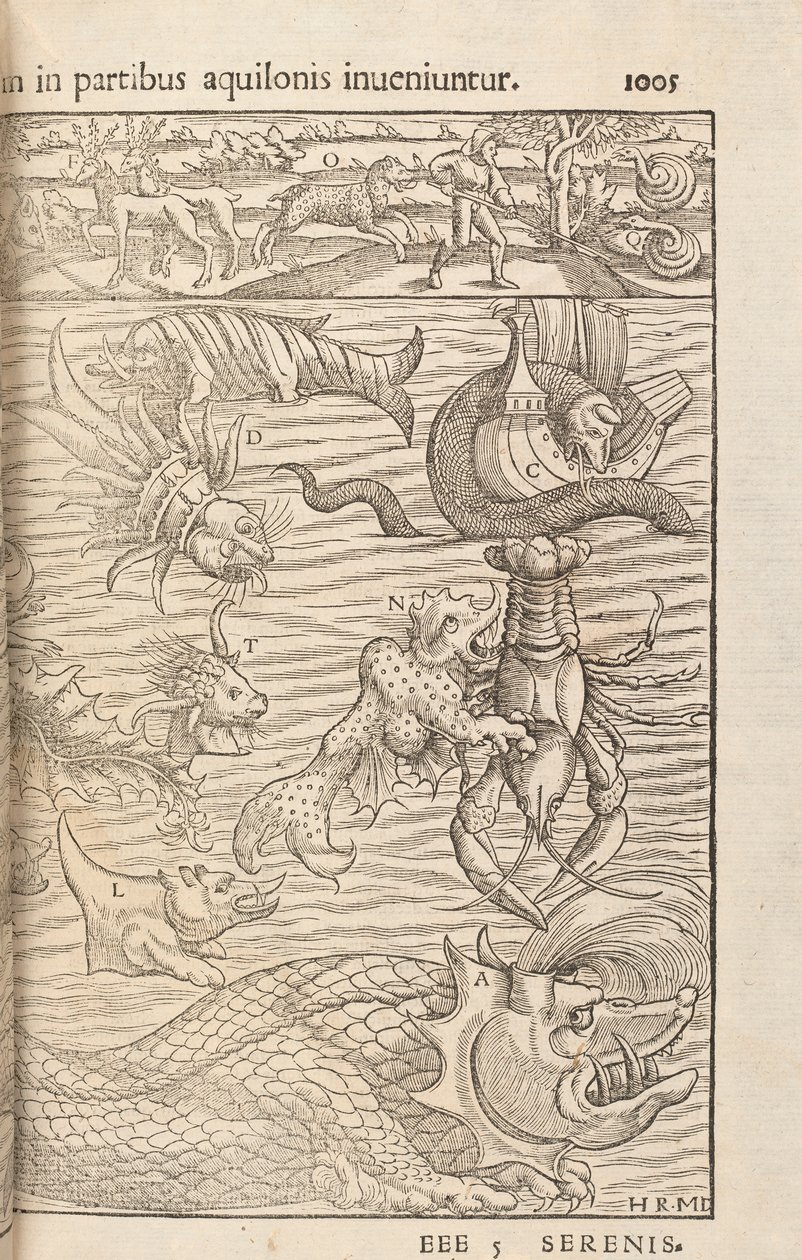 Side 1005 fra Cosmographiae Universalis af Sebastian Muenster, Basel, 1572 af Swiss School