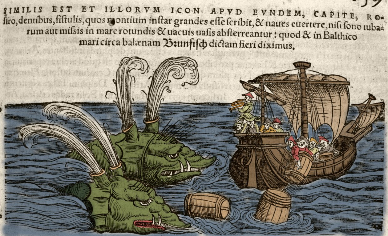 Havmonstre, illustration fra 