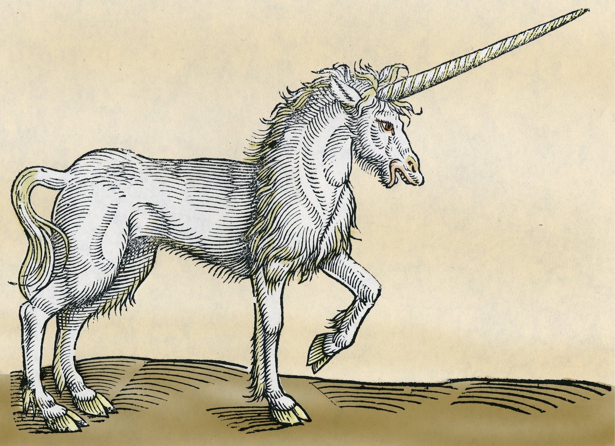 Enhjørning, illustration fra Historia Animalium af Conrad Gesner, 1551 af Swiss School