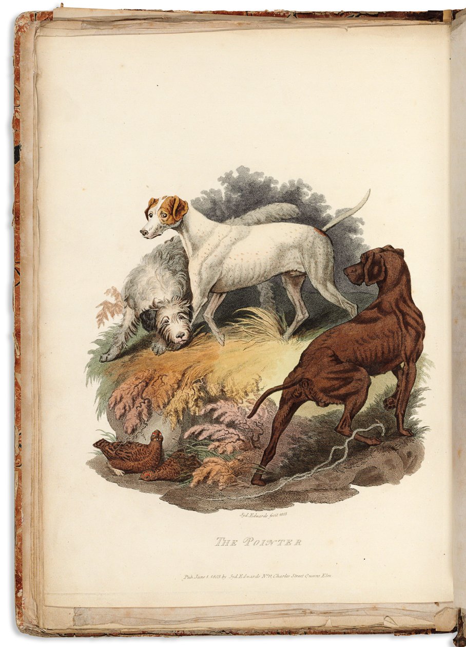 Cynographia Britannica: Consisting of Colored Engravings of Various Breeds of Dogs Existing in Great Britain, 1800-05dani af Sydenham Teast Edwards