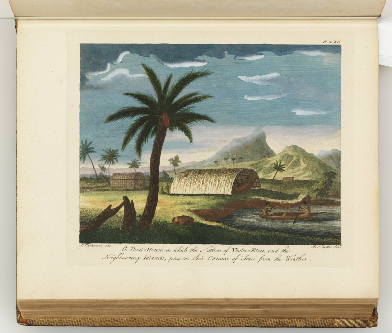 Illustration fra A journal of a voyage to the South Seas: in His Majestys ship, the Endeavour, 1794 (håndkoloreret gravering) af Sydney