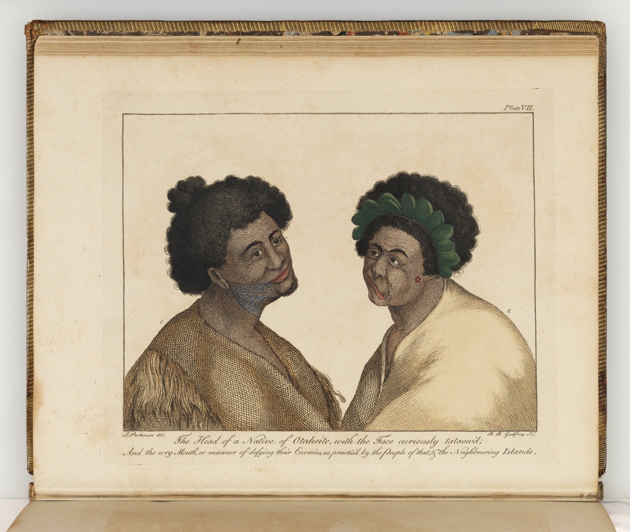 Hovedet af en indfødt i Otaheite, illustration fra A journal of a voyage to the South Seas: in His Majestys ship, the Endeavour, 1794 (håndkoloreret gravering) af Sydney
