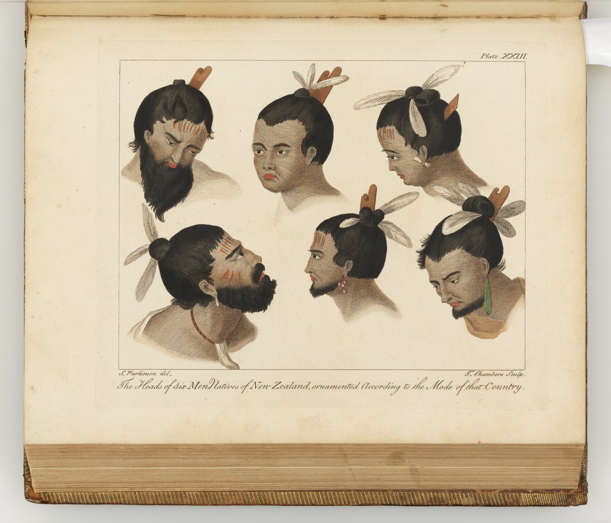 Hovederne af seks mænd, illustration fra A journal of a voyage to the South Seas: in His Majestys ship, the Endeavour, 1794 (håndkoloreret gravering) af Sydney