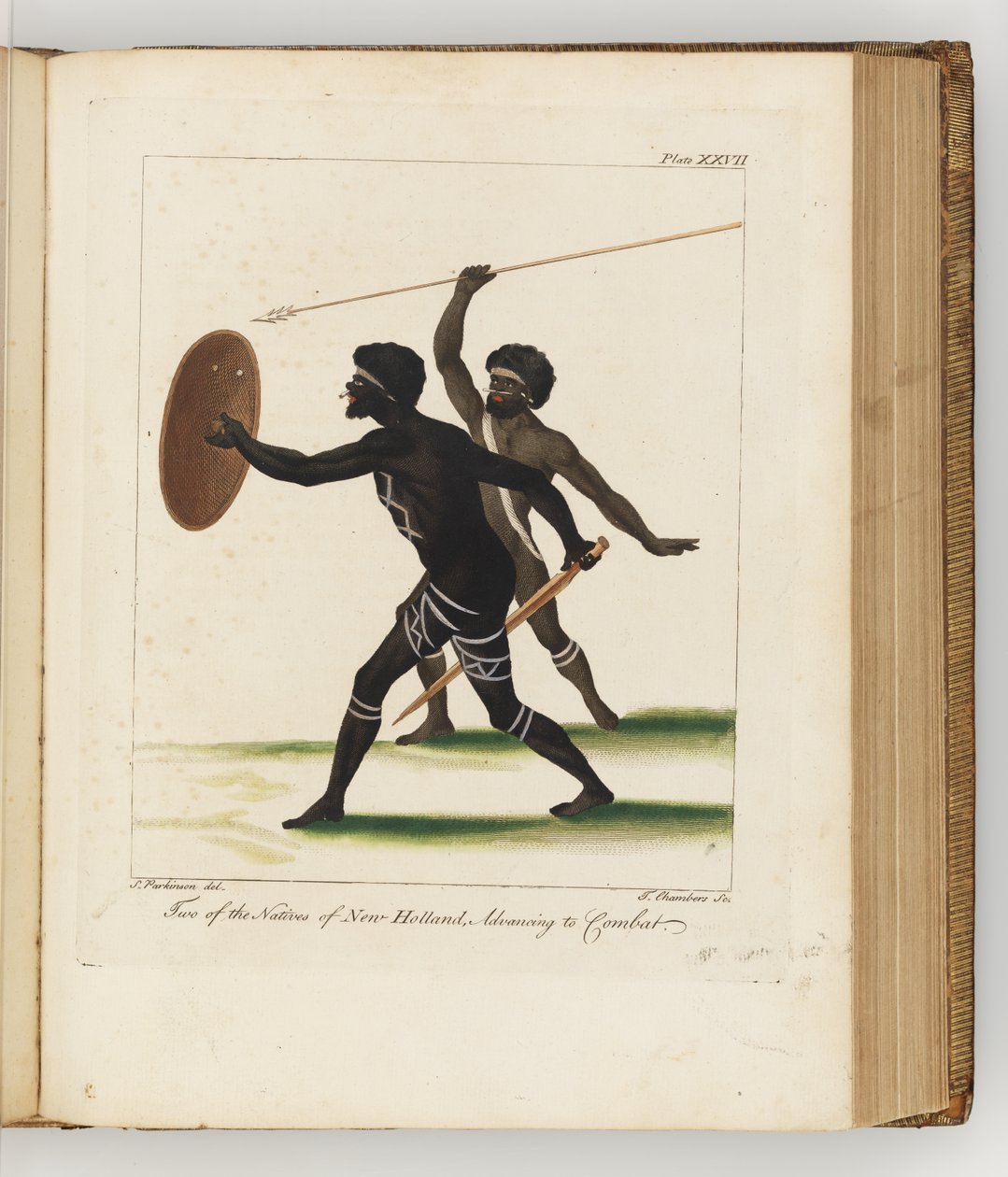 To af de indfødte i New Holland, illustration fra A journal of a voyage to the South Seas: in His Majestys ship, the Endeavour, 1794 (håndkoloreret gravering) af Sydney