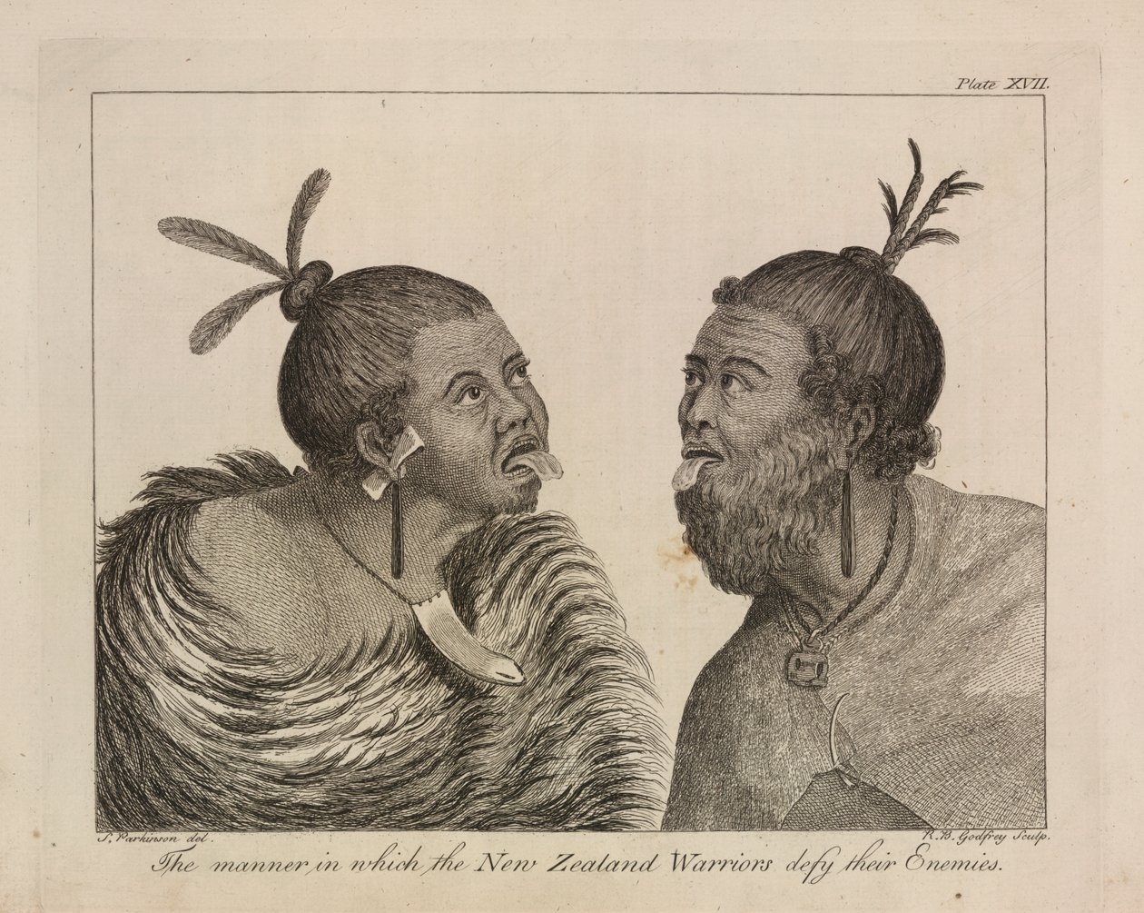 L.R.294.c.7, plade XVII New Zealandske krigere af Sydney (after) Parkinson