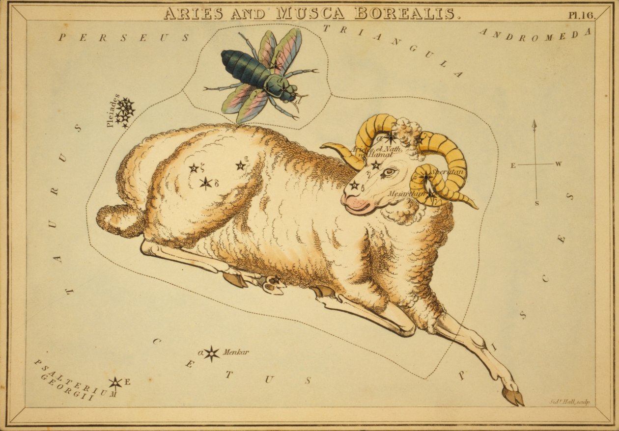 Vædderen og Musca Borealis, Illustration fra 