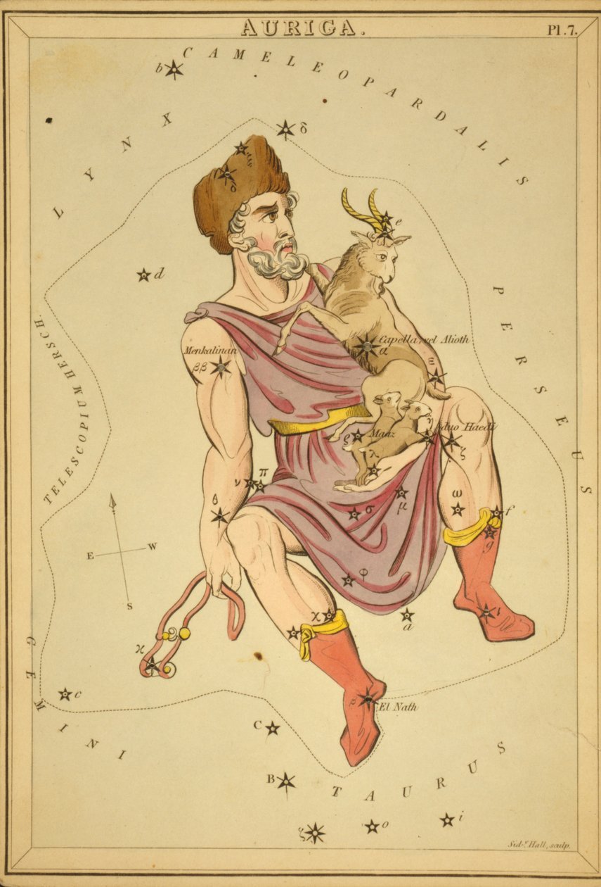 Auriga, Illustration fra 
